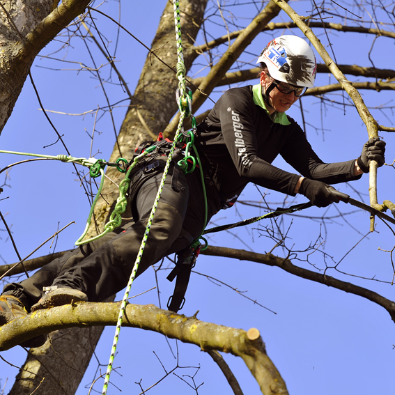 Women's Work: The Challenges Facing Female Arborists