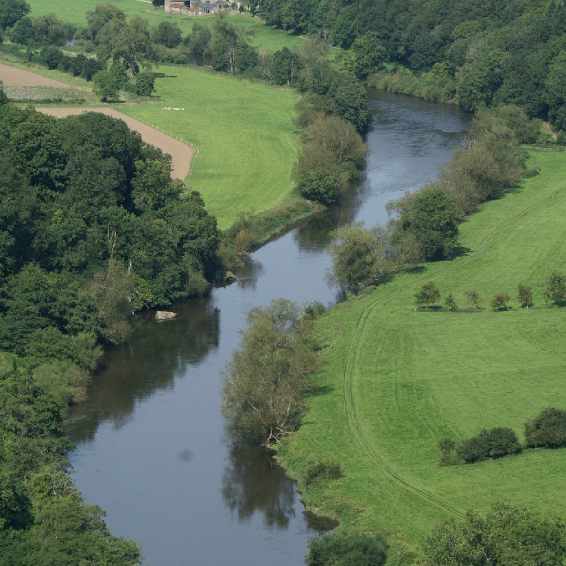 The UK’s Most beautiful forests