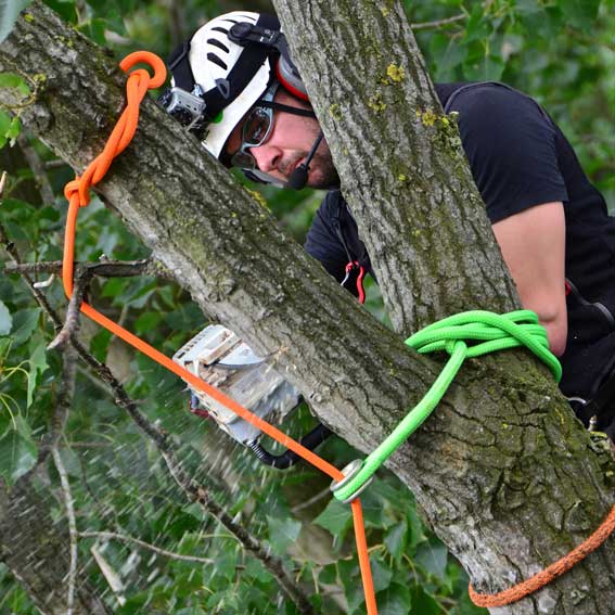 The Essential Gear Guide for Basic Rigging for Arborists