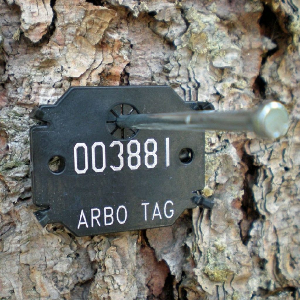 Tree Tags – unpacking the options