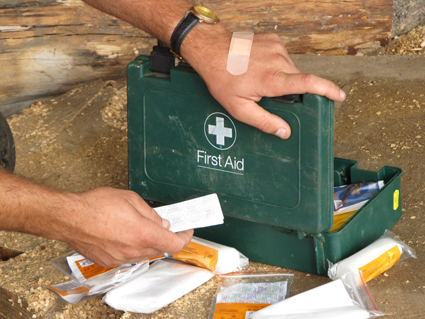 A Guide to First Aid for Arborists