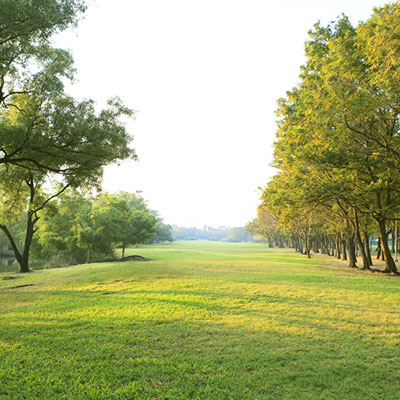 The Benefits of Urban Greenspace