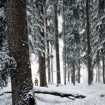 How to Protect Your Arborist Equipment Through Winter