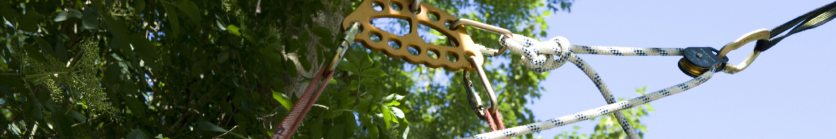 Rigging Pulleys for Arborists & Tree Workers