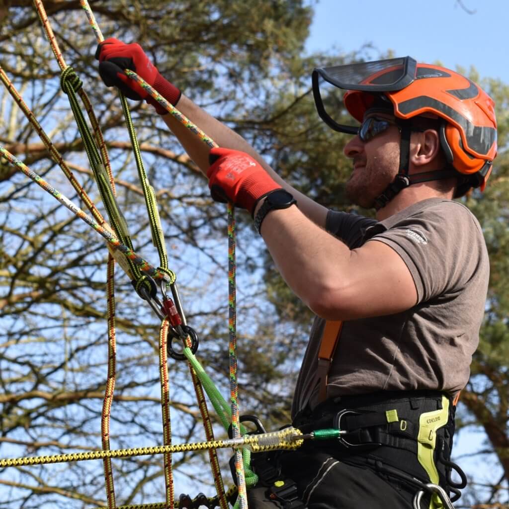 Arborist Equipment, Tree Surgeon Tools & Tree Climbing Gear UK